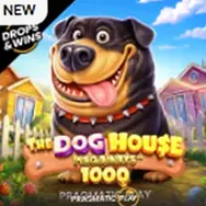 Аппарат The Dog House 1000 — Pragmatic Play
